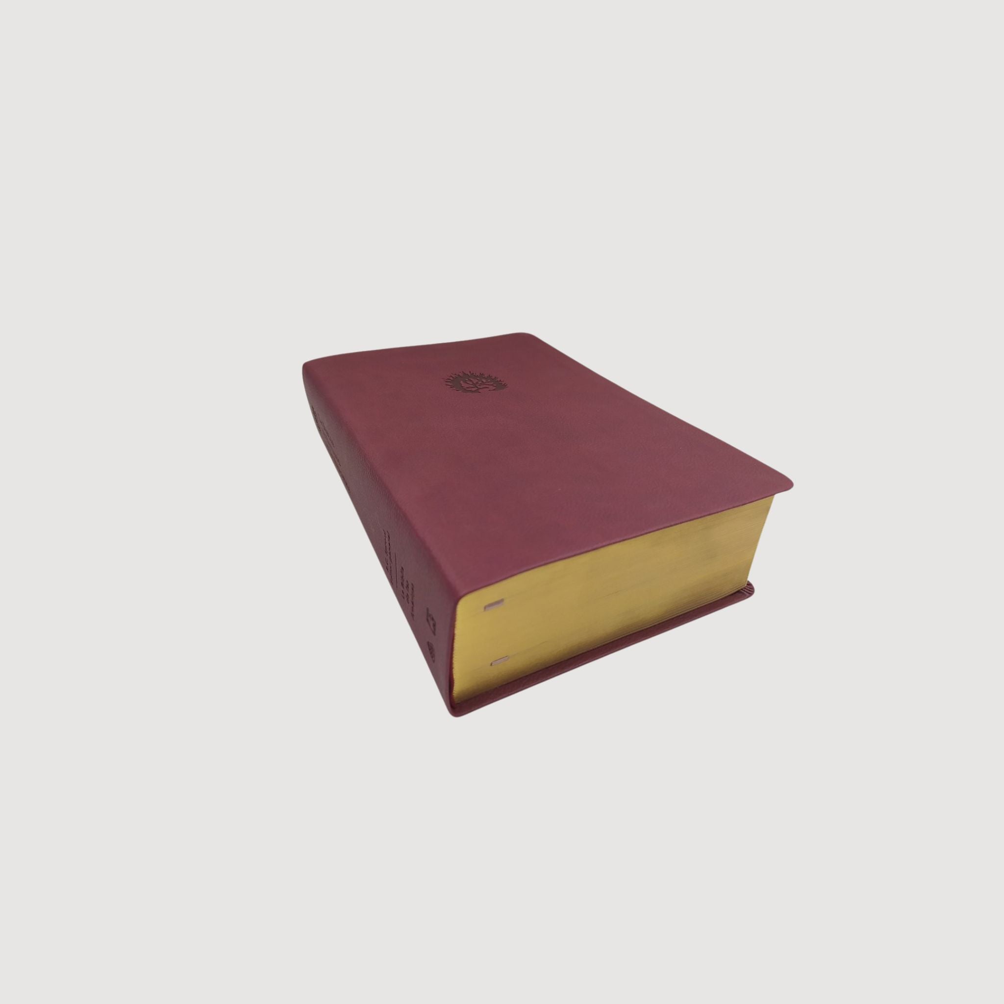 Biblia de Estudio de la Reforma Simil Piel
