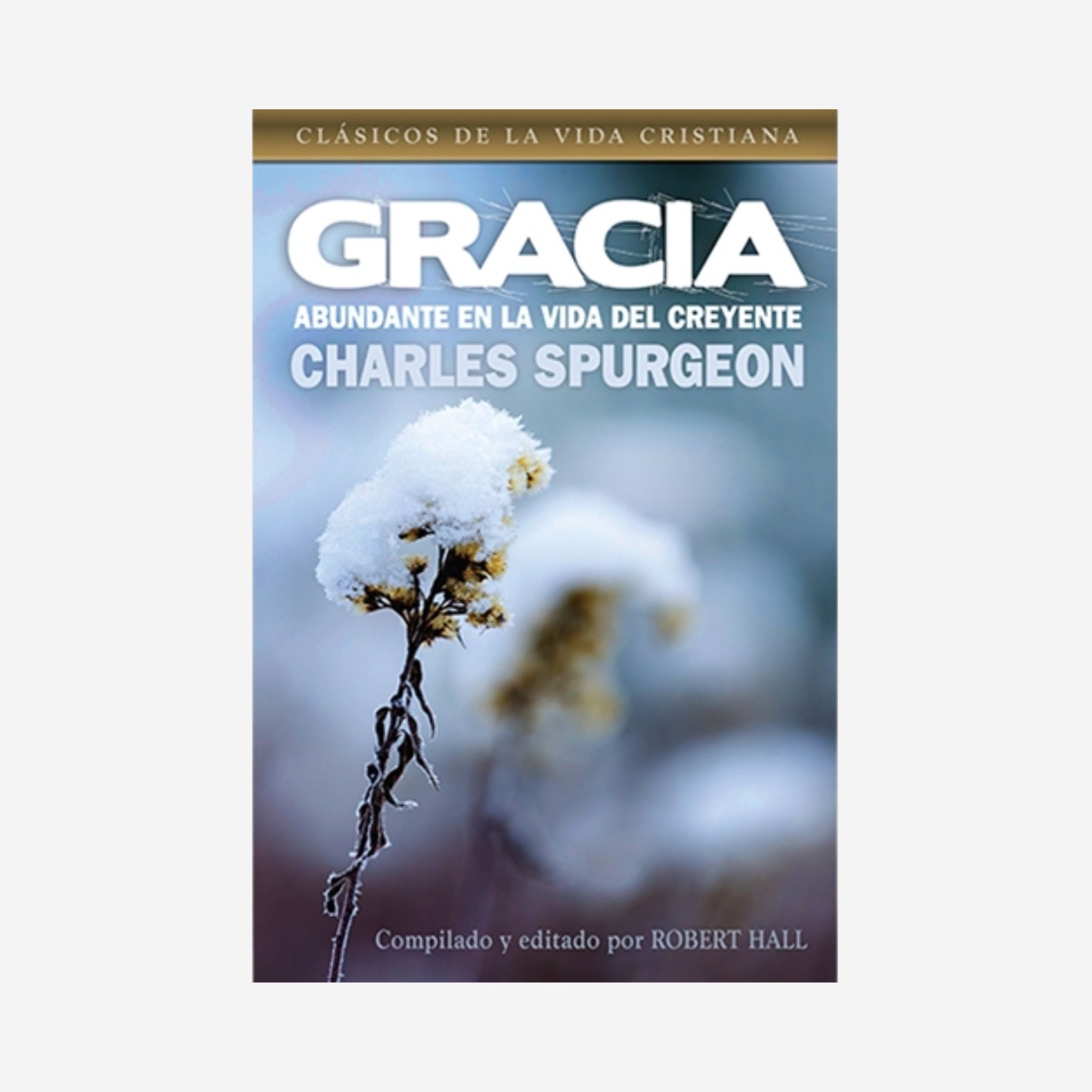 Gracia abundante en la vida del creyente