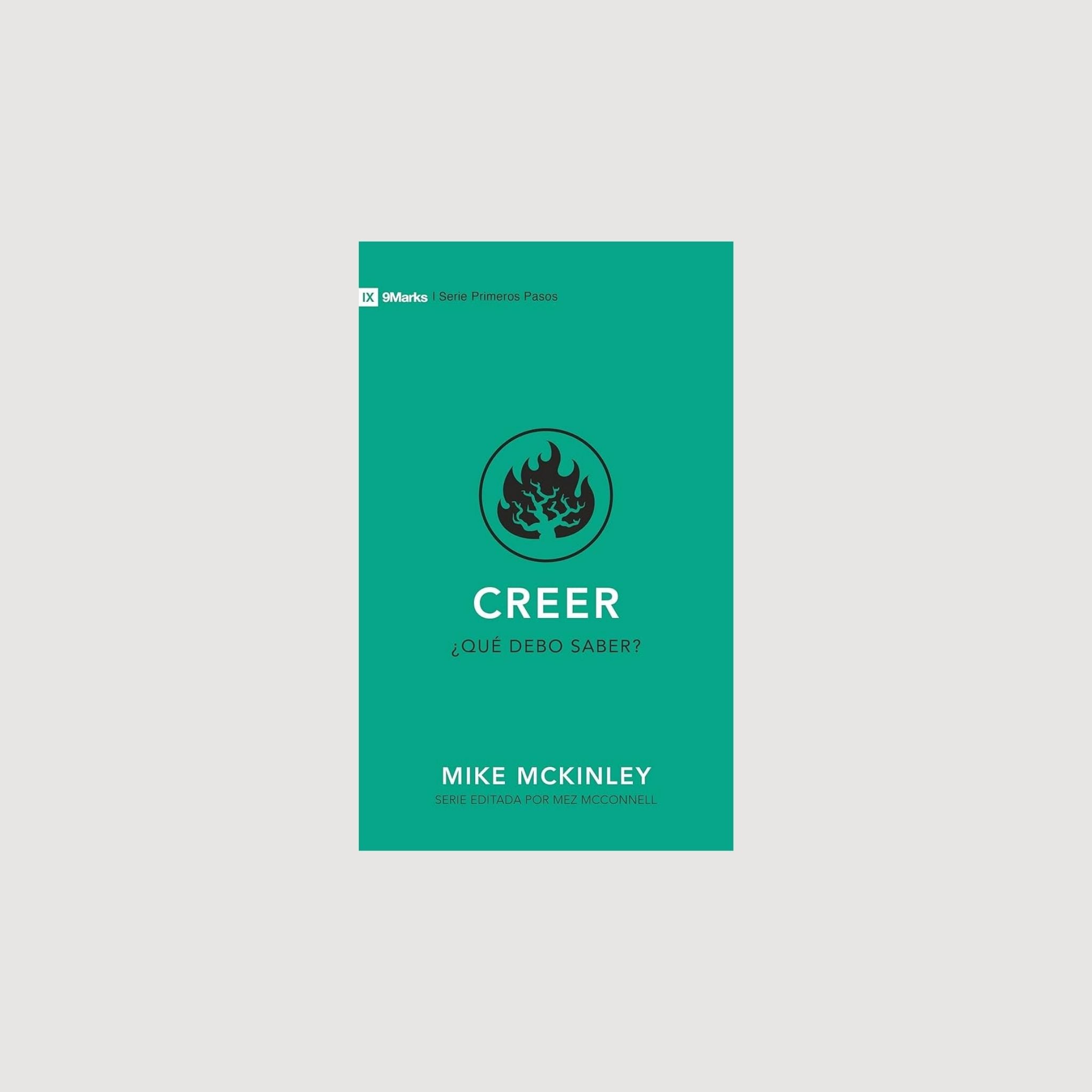 Creer ¿Qué debo saber? (Bolsillo)