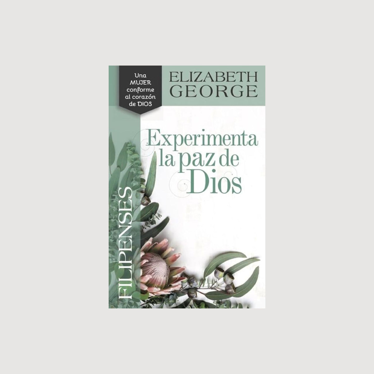 Filipenses: Experimenta la paz de Dios