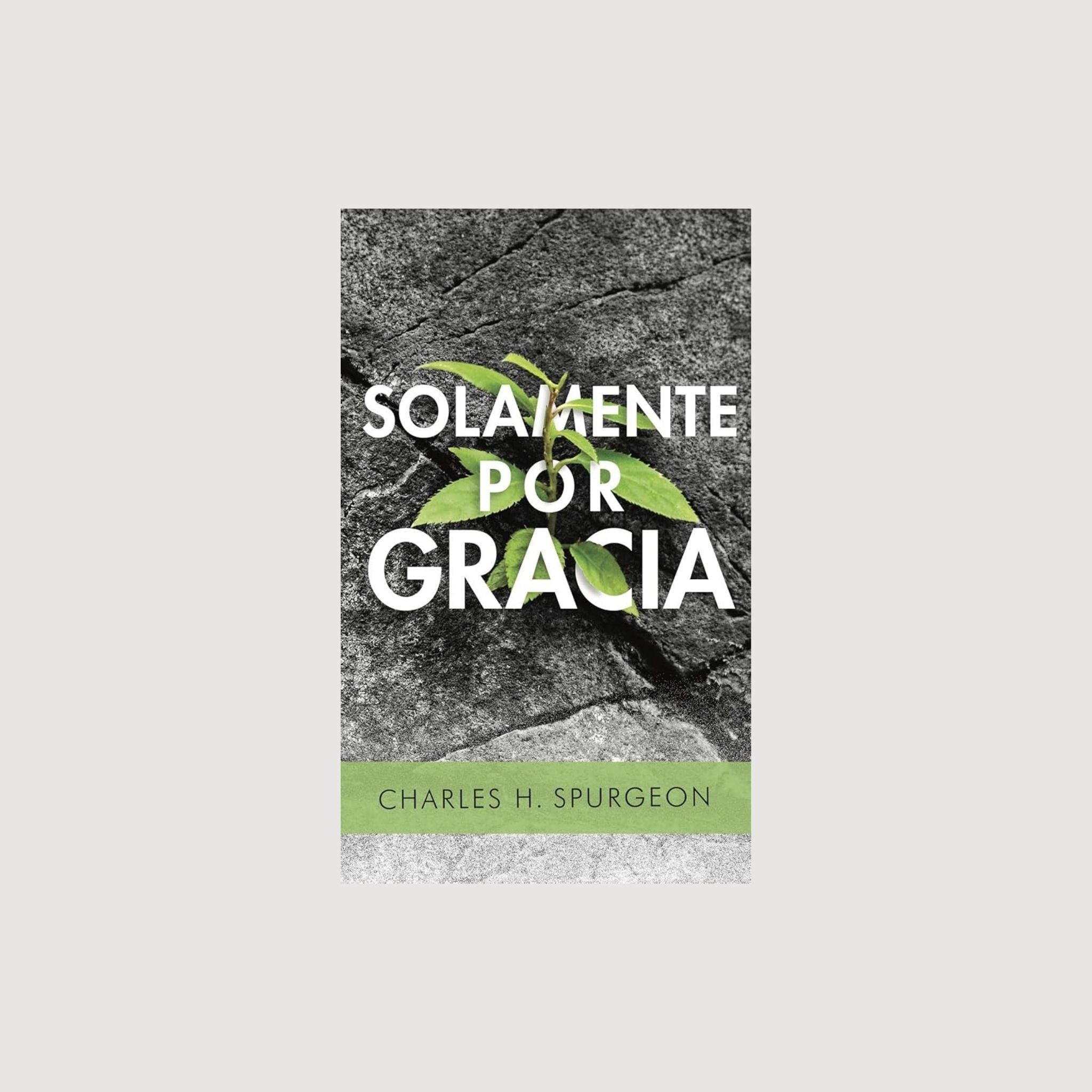 Solamente por gracia