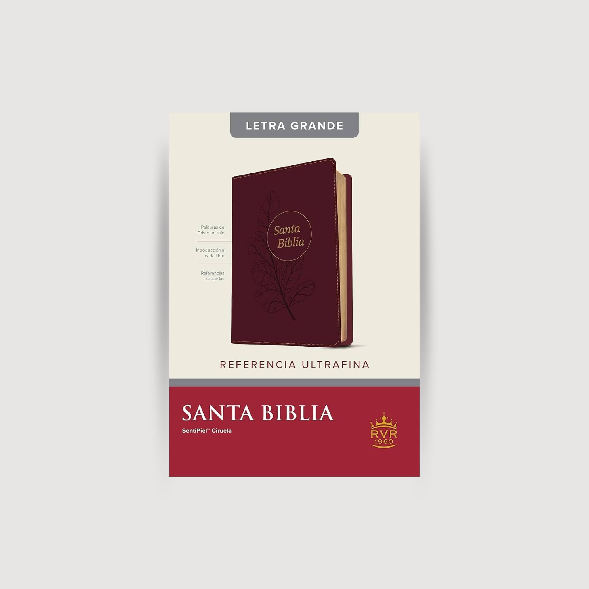 Biblia RVR60 Ultrafina LG SentiPiel Ciruela c/ Referencias
