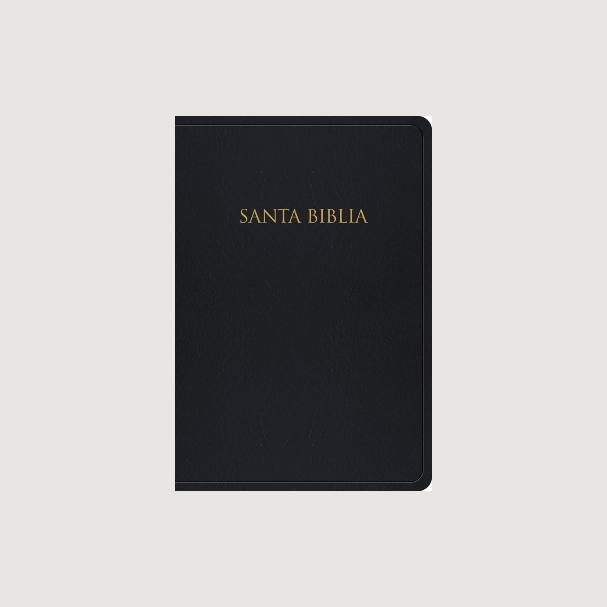 Biblia Tamaño Manual Letra Grande Pasta Suave Canto Dorado