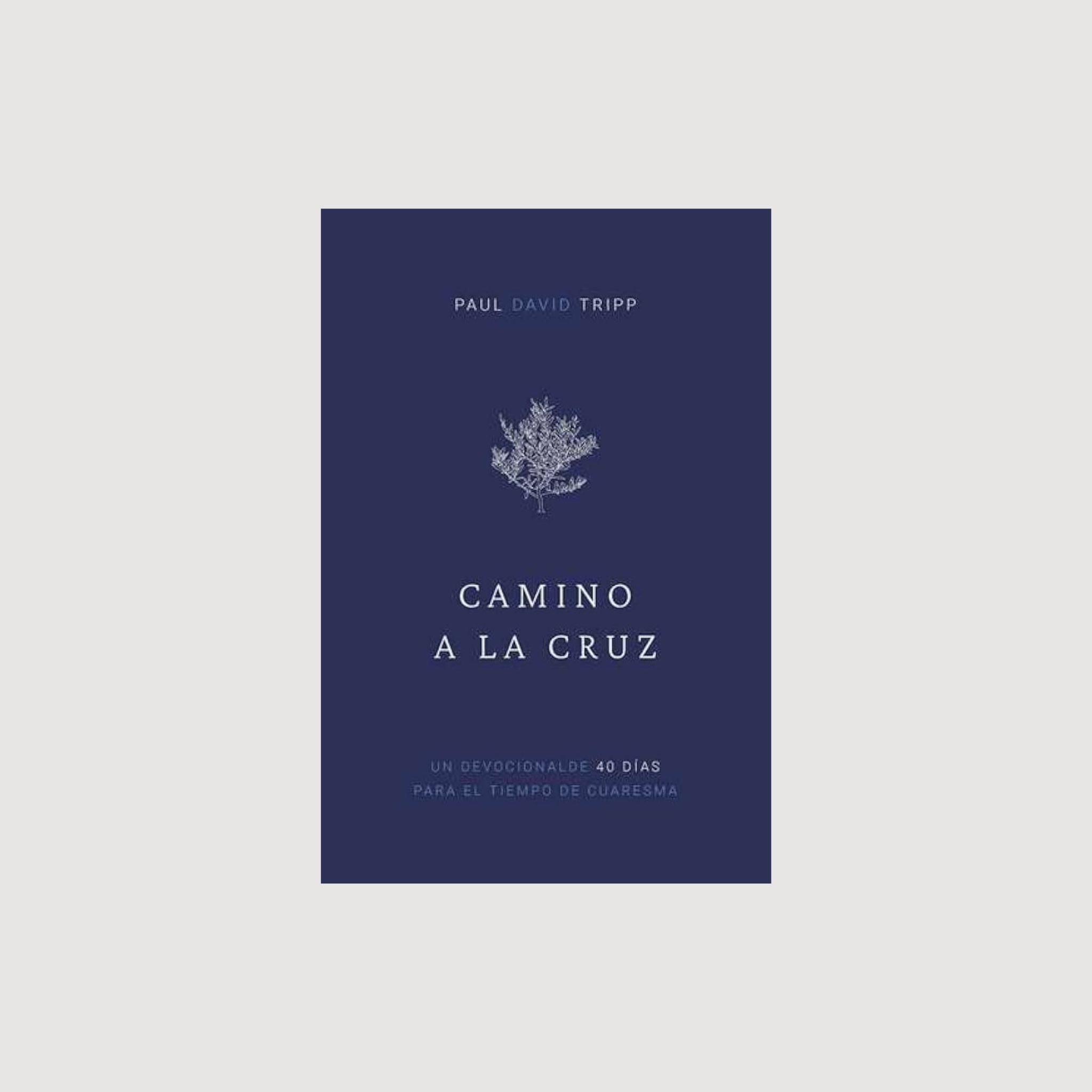 Camino a la Cruz