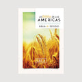 Biblia de las Américas de estudio, tapa dura (nueva presentación)
