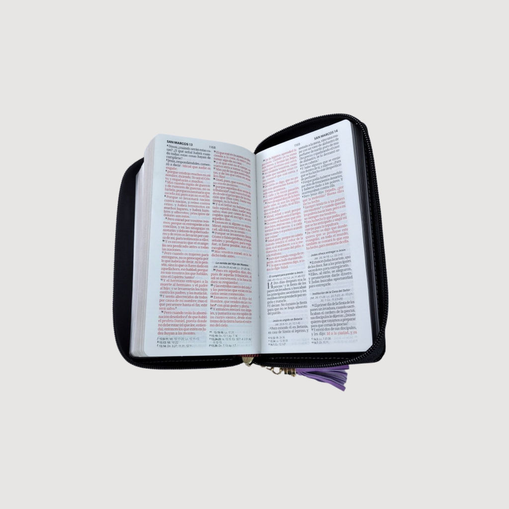 Biblia chequera RVR60 imitación piel