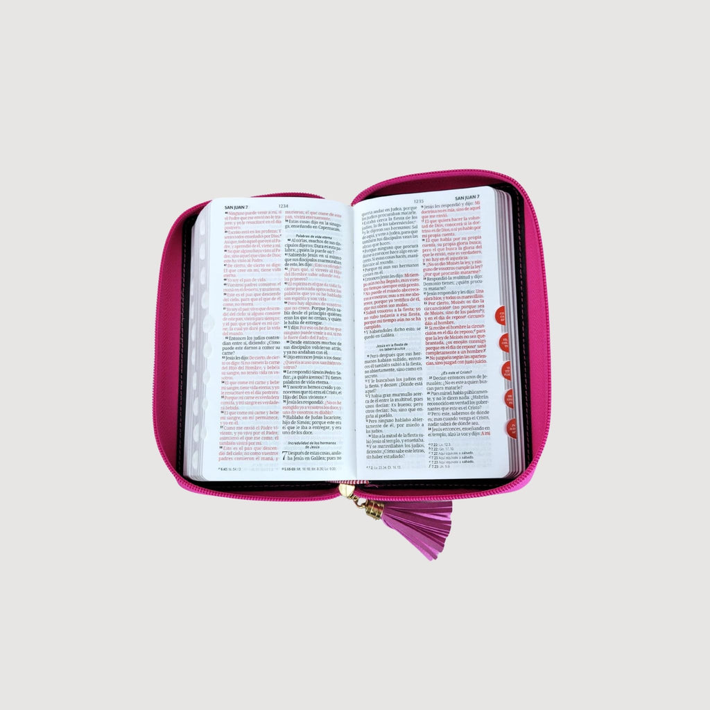 Biblia chequera RVR60 imitación piel