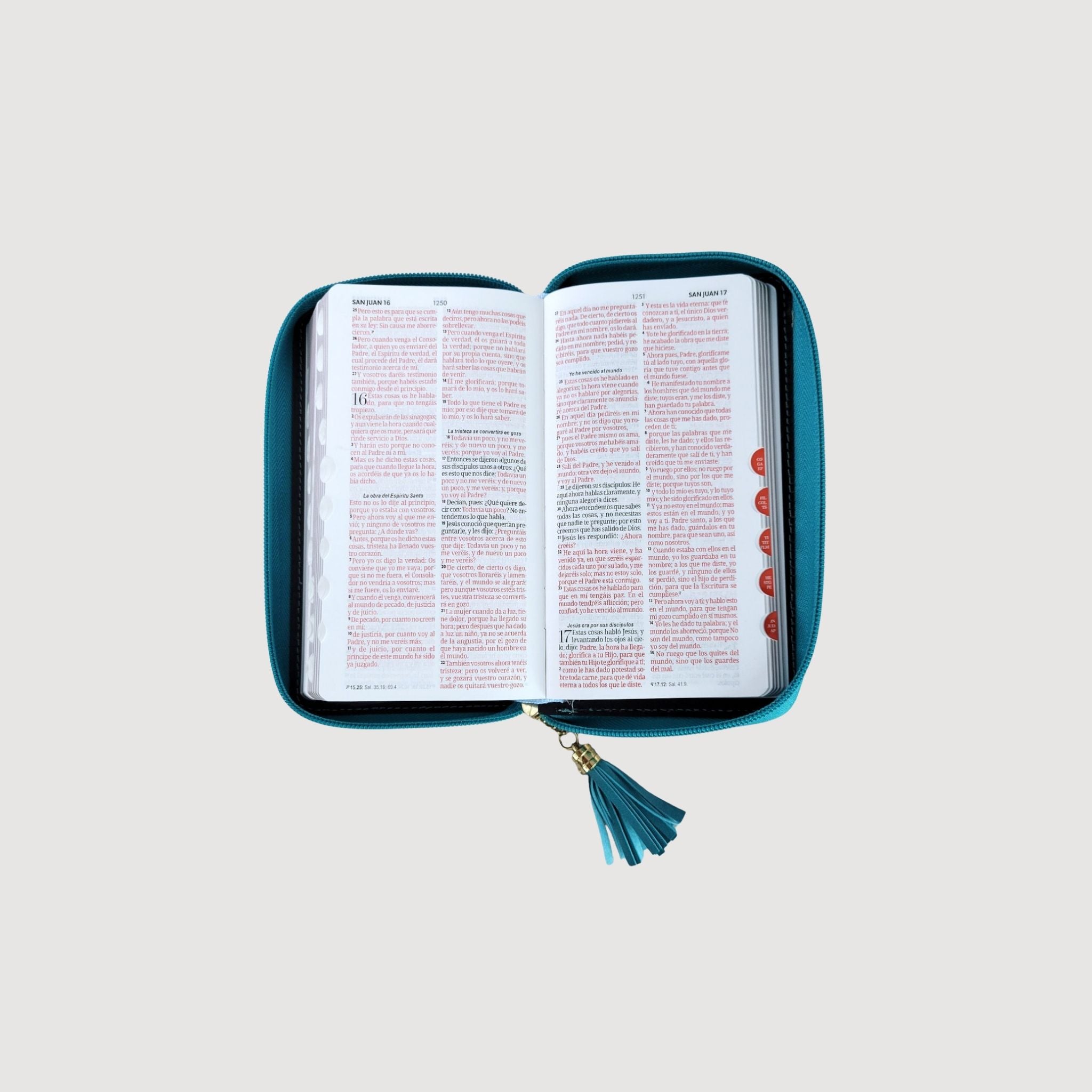 Biblia chequera RVR60 imitación piel