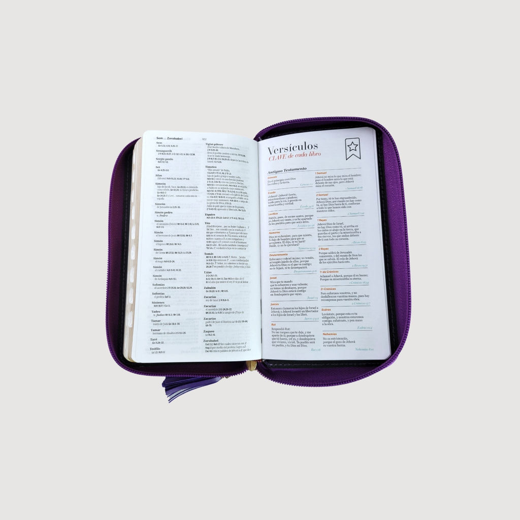 Biblia chequera RVR60 imitación piel