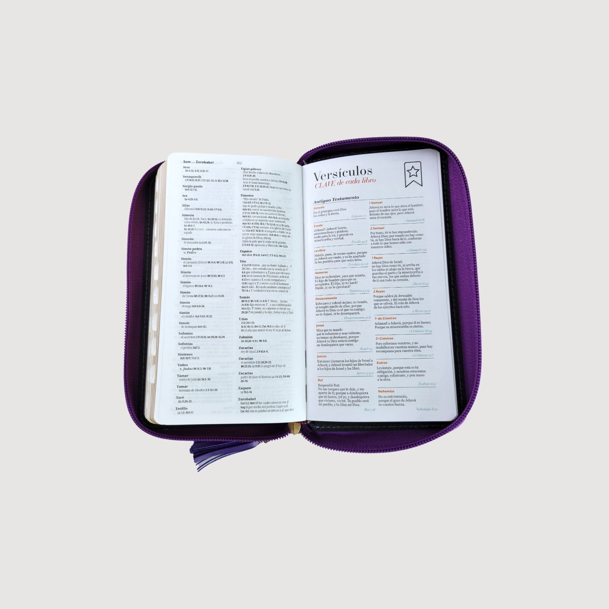 Biblia chequera RVR60 imitación piel
