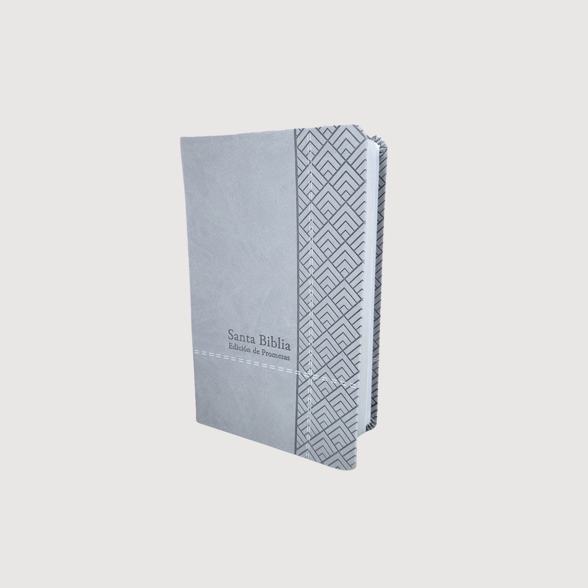 Biblia Promesa Manual