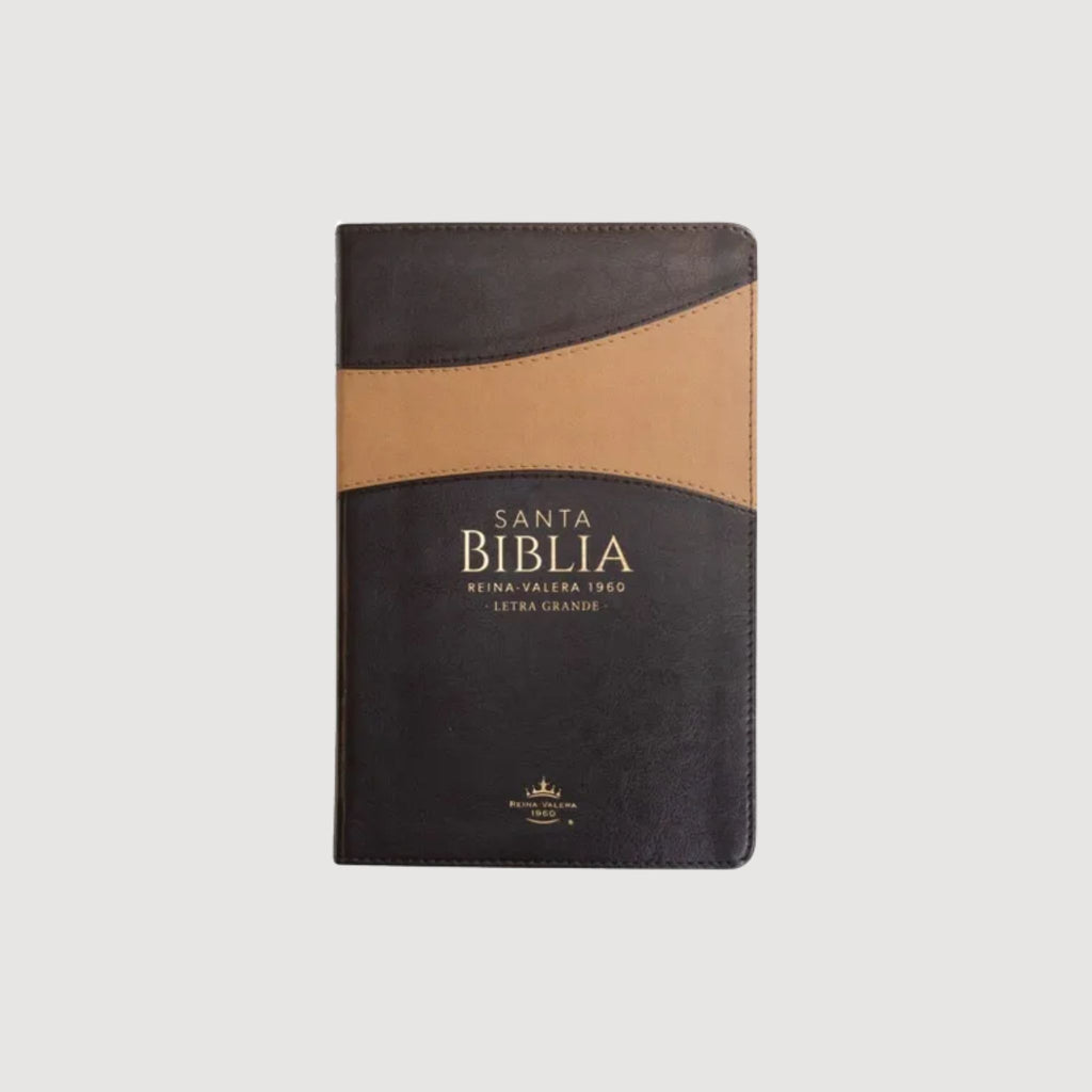 Biblia RVR60 065