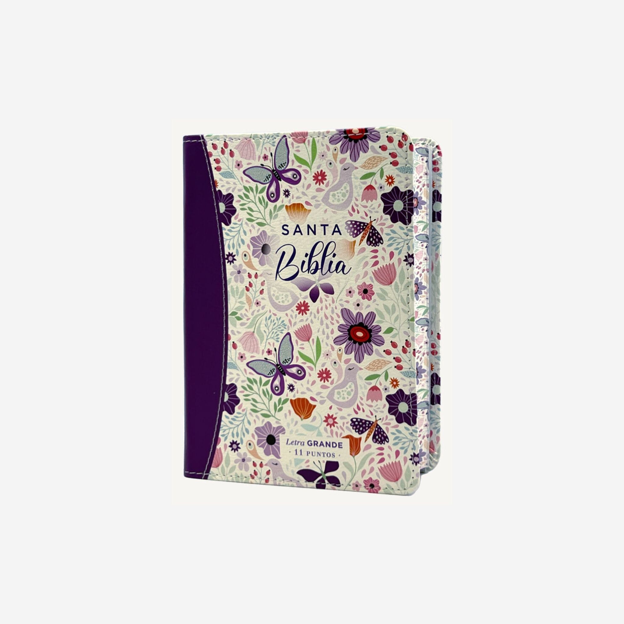 Biblia 045 y 025