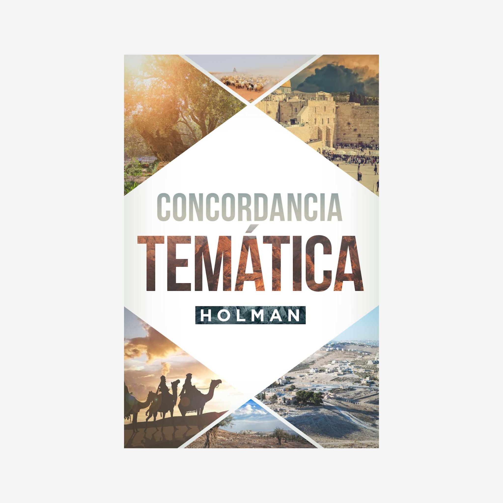 Concordancia Temática Holman