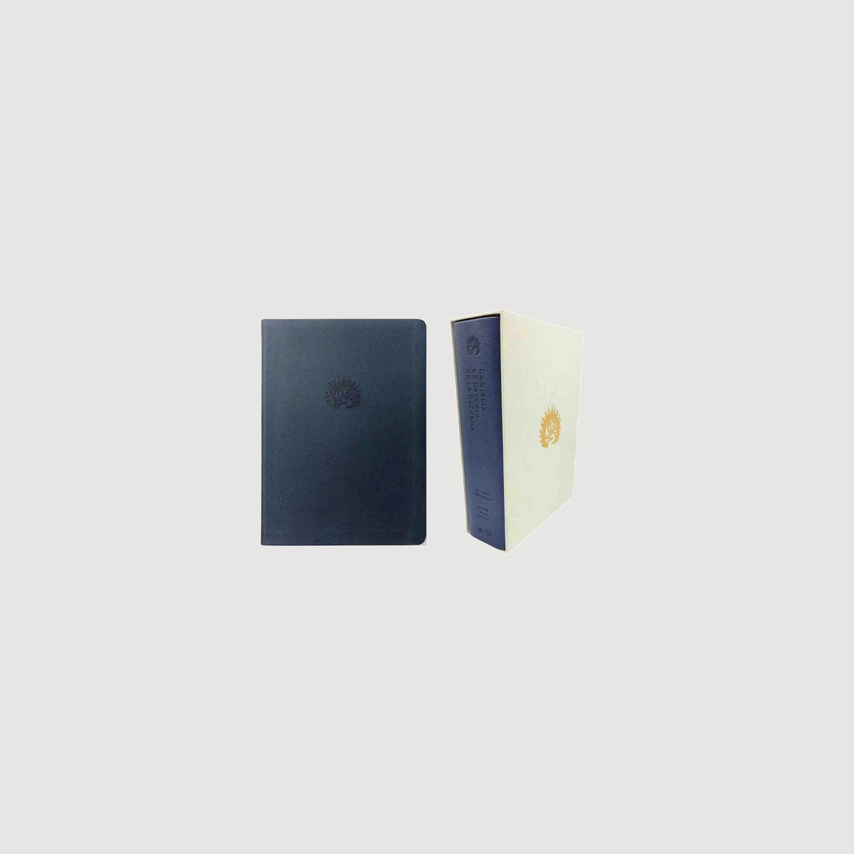 Biblia de Estudio de la Reforma Simil Piel